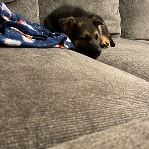 Meet your Posher, Paul